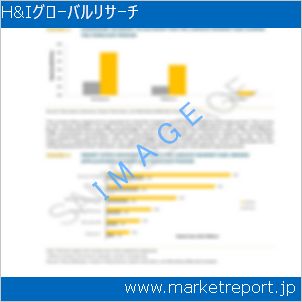 市場と産業調査レポートのイメージ